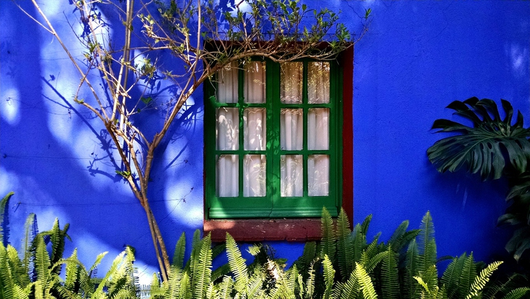 Museo Frida Kahlo, Messico by Kyle Magnusson/Flickr
