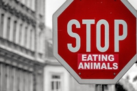 In viaggio per Veganville. Un libro che ogni attivista dovrebbe leggere