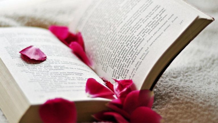 L’idea di una giornata dedicata al libro nacque per la prima volta in Catalogna, promossa dallo scrittore valenziano Vincent Clavel Andrés. Fu re Alfonso XIII, il 6 febbraio 1926, a istituire una Giornata del libro spagnolo celebrata in tutta la nazione, inizialmente fissata nella data del 7 ottobre e successivamente spostata al 23 aprile, giorno della festa del patrono della Catalogna San Giorgio. In questa giornata, è tradizione in Spagna che gli uomini regalino alle proprie donne una rosa, sicché divenne consuetudine tra i librai catalani dare in omaggio una rosa ai clienti per ogni libro comprato.