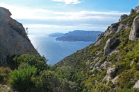 Francia, il parco delle Calanques ha chiesto un risarcimento ai bracconieri per i danni ecologici