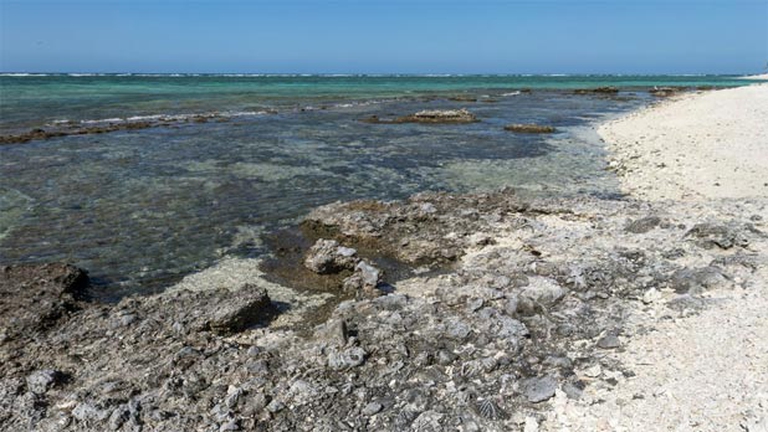 la-barriera-corallina-su-google2