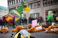 Stop glifosato, le associazioni europee lanciano una petizione per bandire l’erbicida