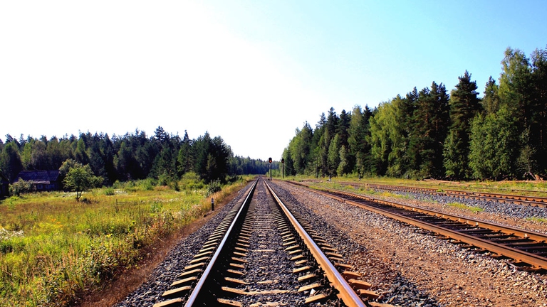 Ripensare i tracciati delle ferrovie abbandonate come nuovi sentieri per un turismo slow