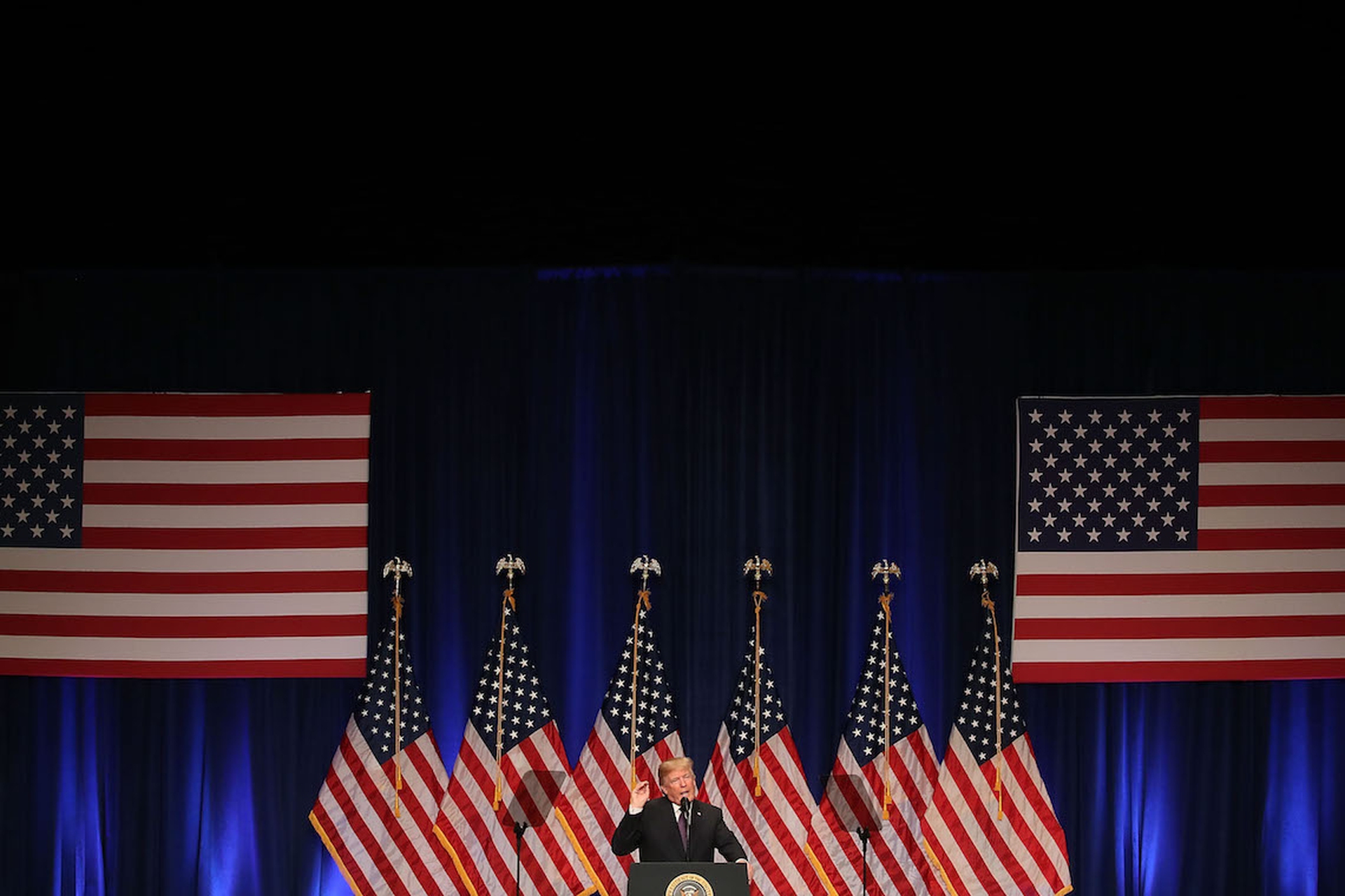 Donald Trump, un anno da presidente15