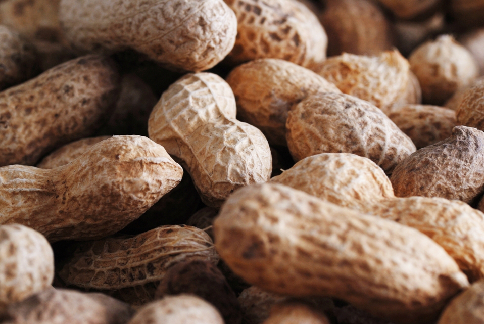 Food allergies reach epidemic levels in the United States