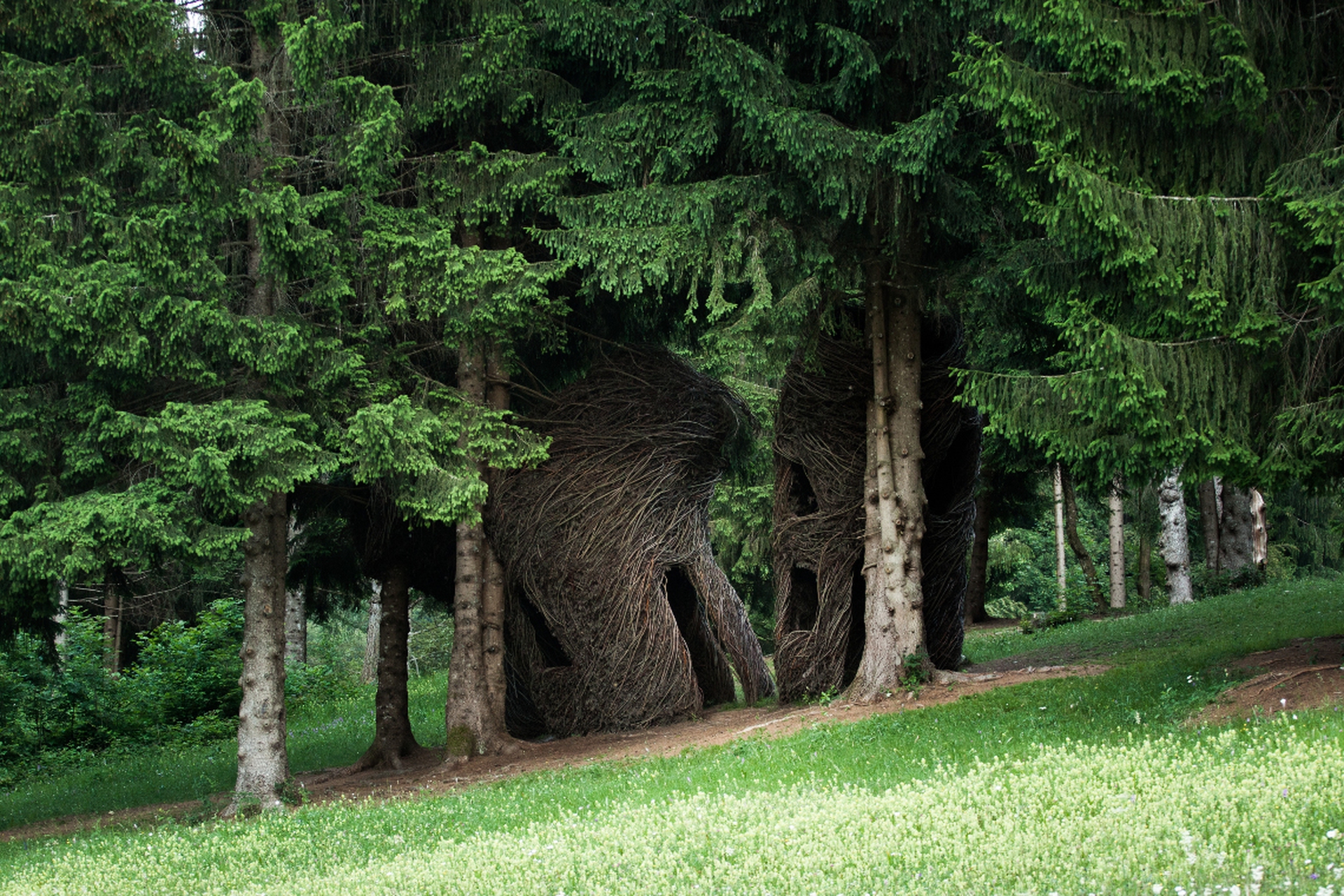 Arte Sella un'opera Patrick Dougherty_Tana libera tutti