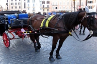 Roma, basta “botticelle” dal 2015