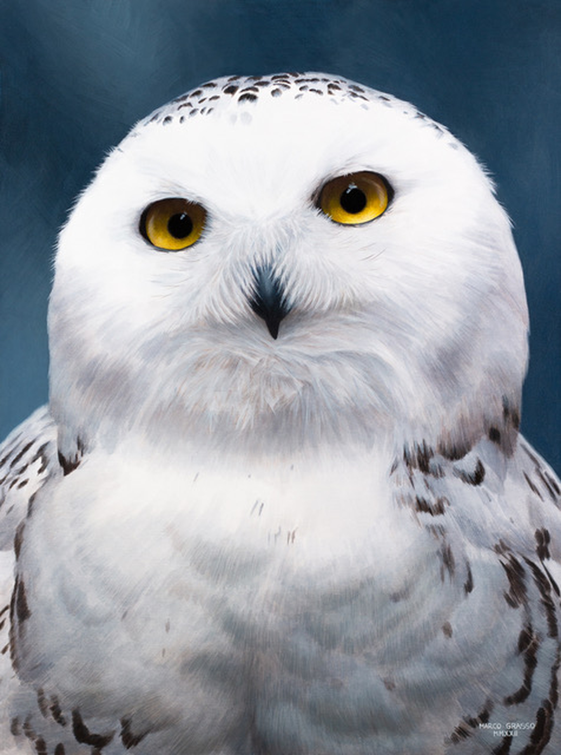 Marco Grasso Ghost 2022