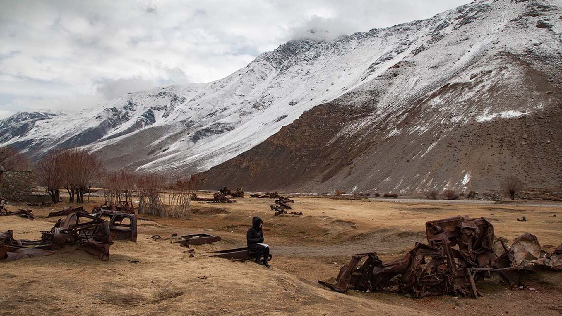 PJ Harvey A Dog Called Money 2