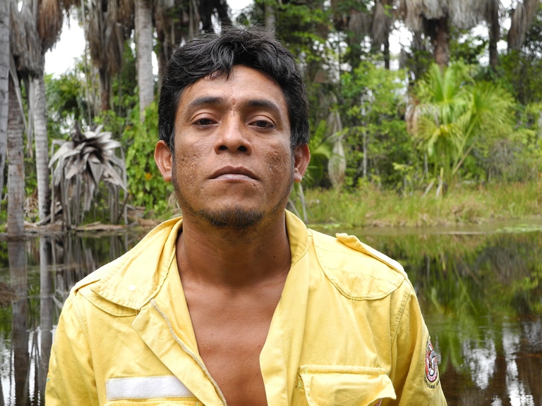 Lotta contro i taglialegna