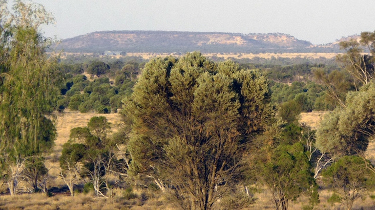 Bacino di Galilee e carbone