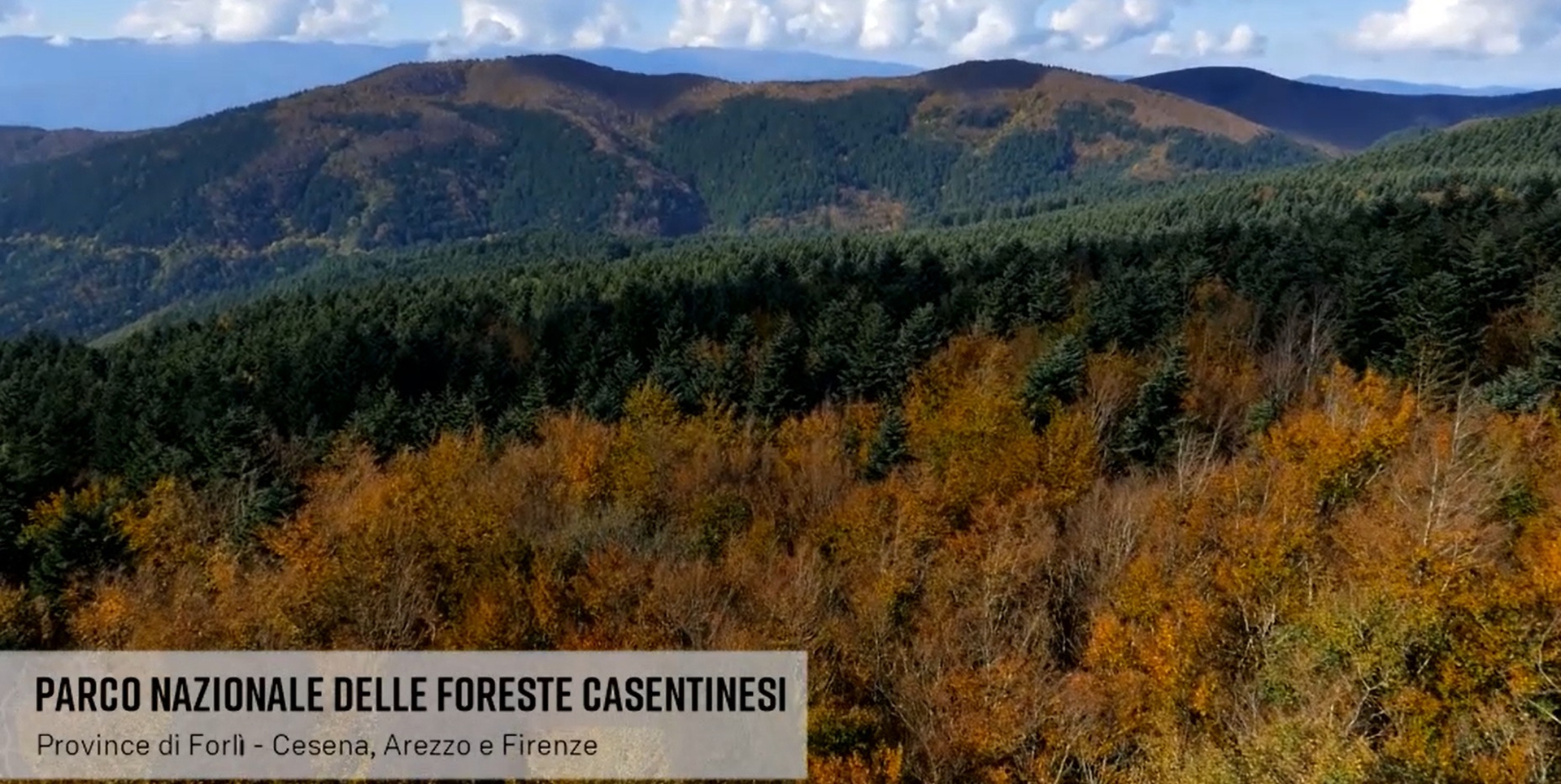 foreste casentinesi