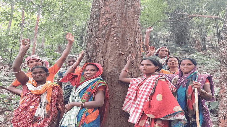 women protecting forests India