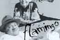 Flamingo – Stephane Grappelli / Michel Petrucciani