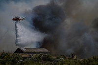 Grecia, domati due incendi attorno ad Atene. Si teme per l’estate