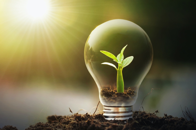 Al Milano green forum si parla anche di innovazione green.