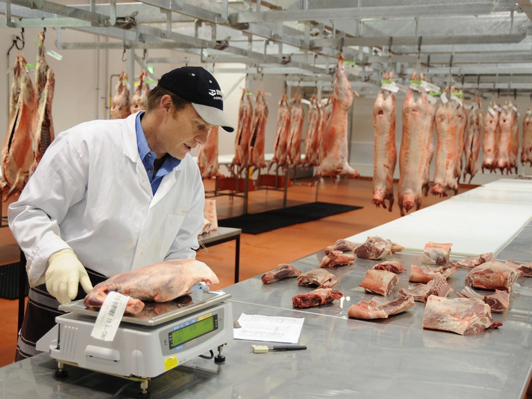 processo-lavorazione-carne