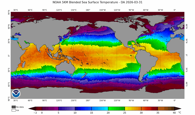 La temperatura sulla superficie degli oceani al 31 marzo 2026