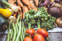 I menù delle mense universitarie devono essere più vegetali