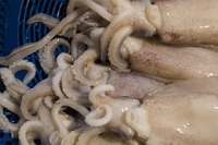 Seppie in pasta sfoglia: ingredienti e preparazione