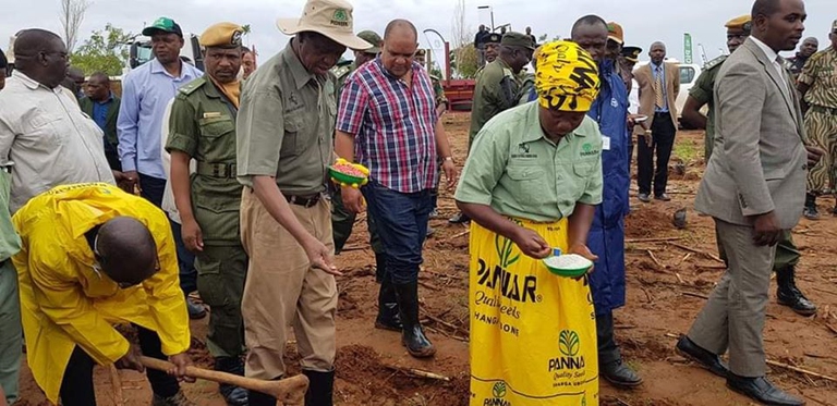 Edgar Lungu mais semi Zambia siccità