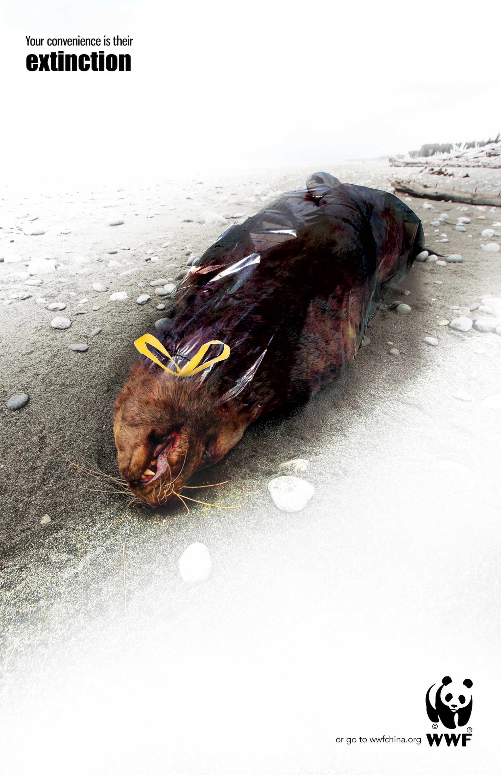 wwf-extinction-3