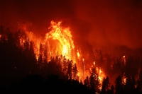 Incendi estivi, record di emissioni di CO2 in tutto l’emisfero settentrionale