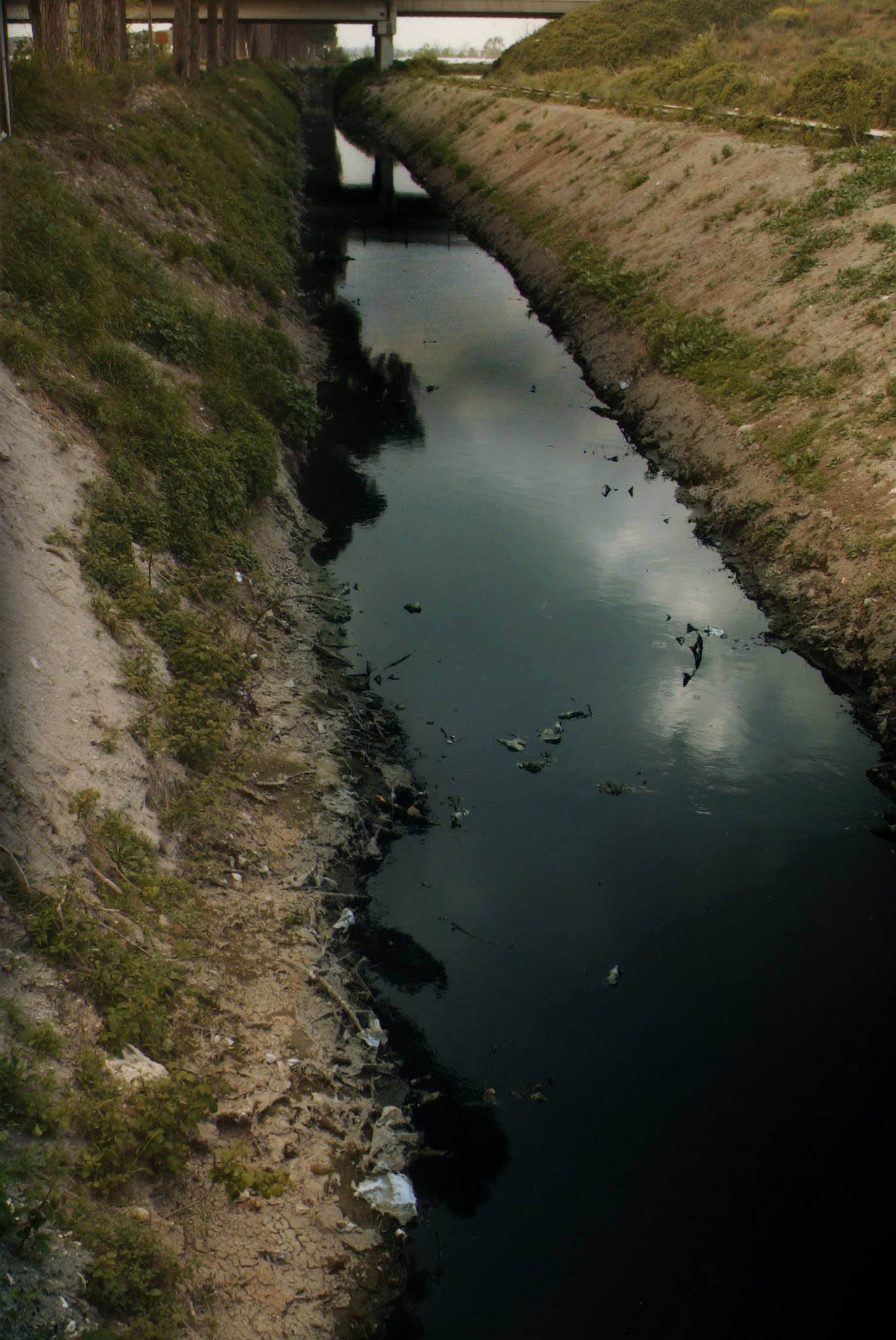 La Terra dei fuochi al cinema