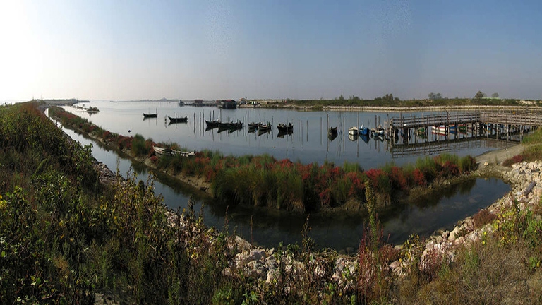 P02-Polesine-Camerini-Porto-Tolle