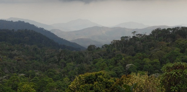 Arco orientale della Tanzania