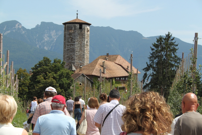 Trenino dei castelli 