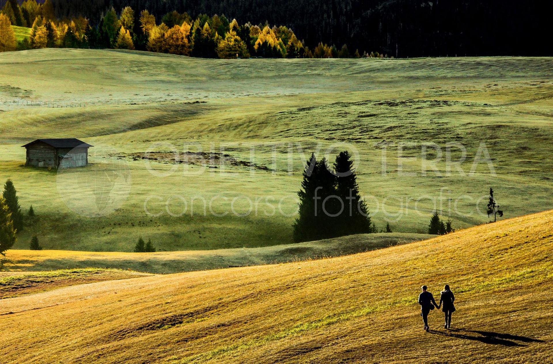 Parco naturale Sciliar-Catinaccio (Trentino-Alto Adige/Südtirol)