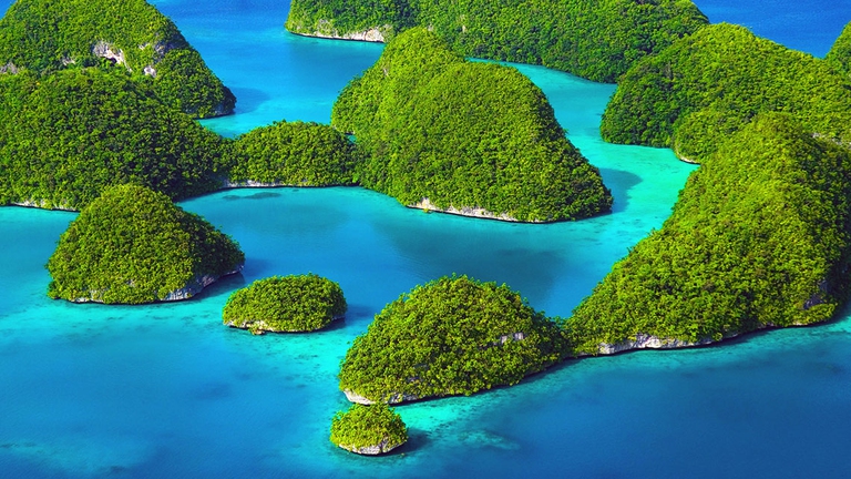 Palau vieta creme solari dannose per i coralli e la barriera corallina