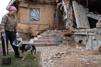 Animali in Ucraina, arrivano aiuti contro stress e paura