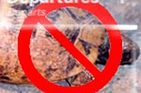 Specie esotiche: SOS souvenir