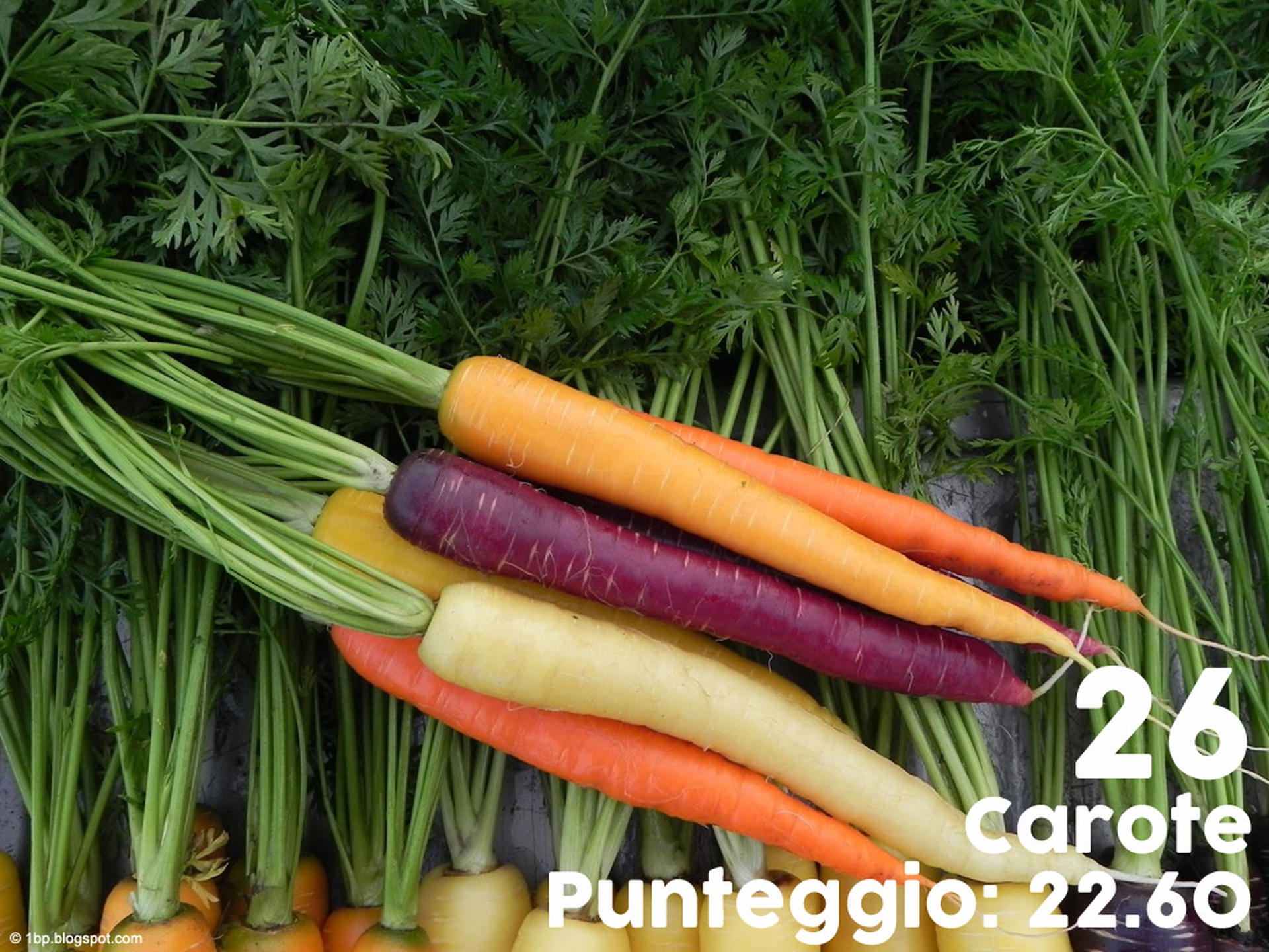 frutti-e-verdure-supernutrienti-26