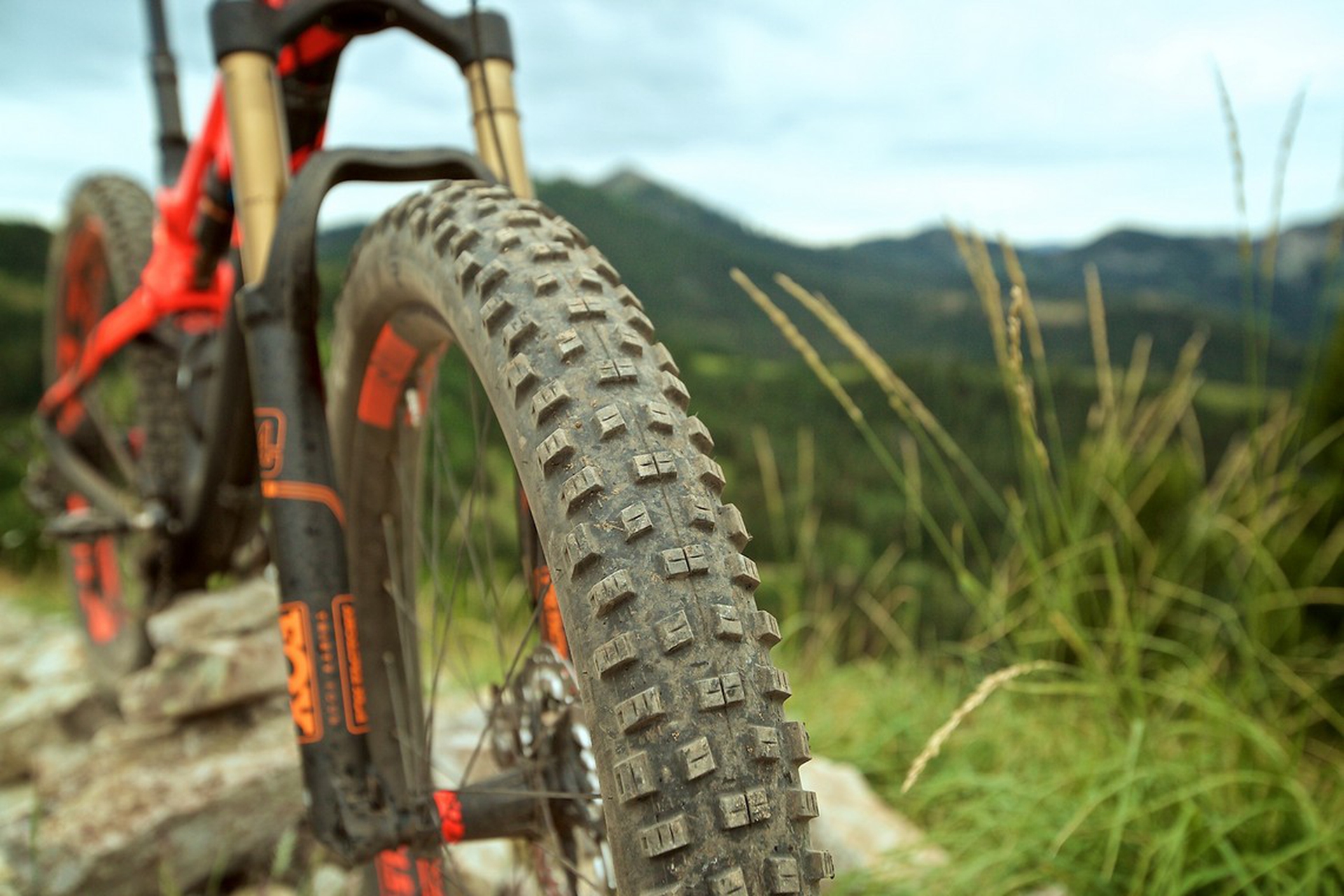 Tutto quello che c’è da sapere per scegliere la prima bicicletta