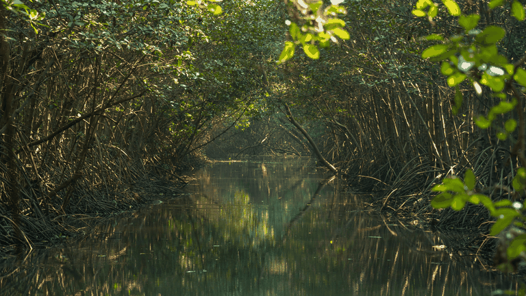 Biodiversity in Mozambique