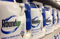 Glifosato, la Monsanto condannata anche da un tribunale federale americano