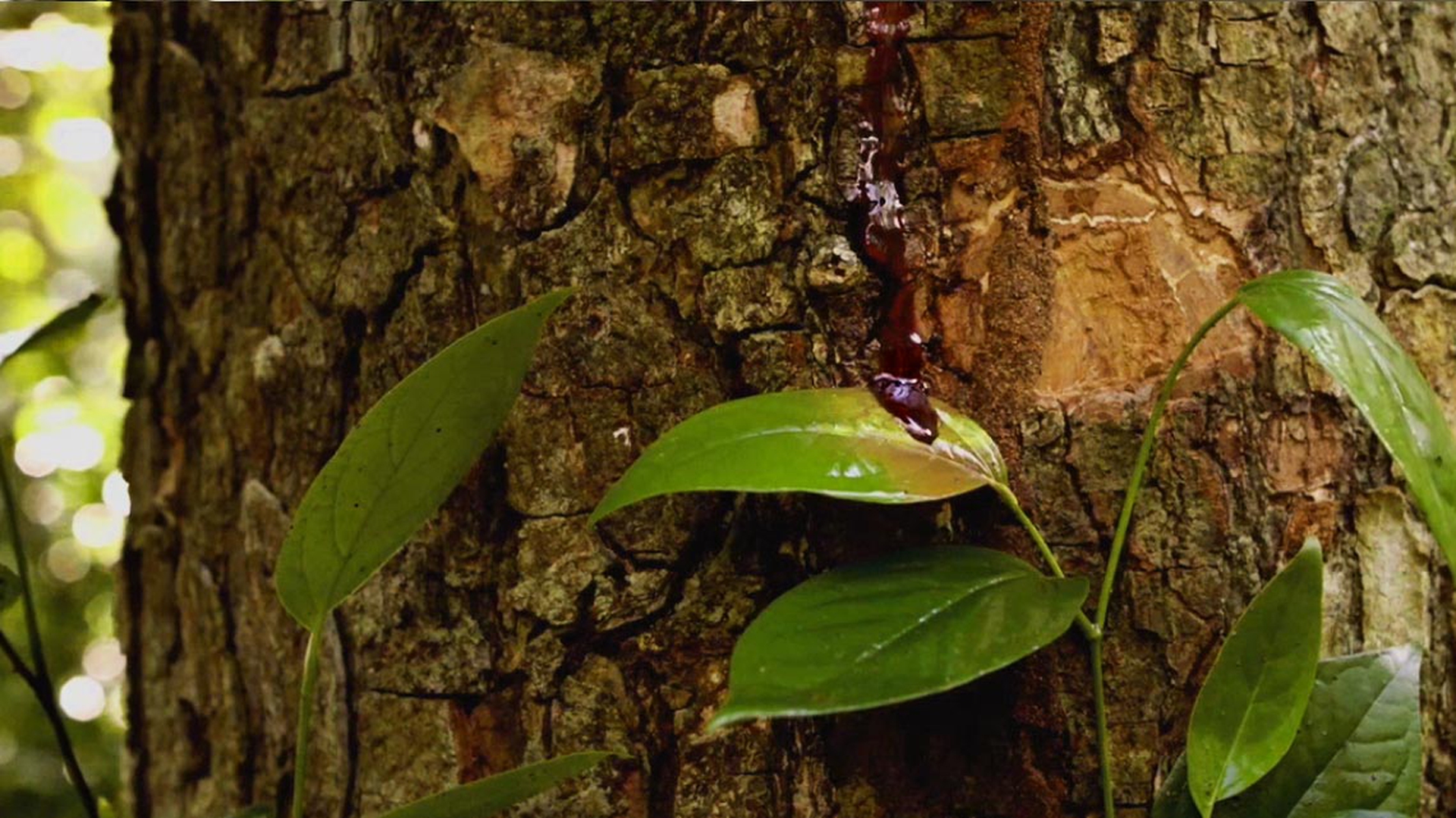 tierra-mojada-trasformazione