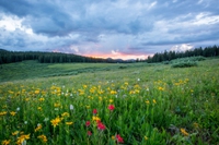 Si vuole cambiare la definizione di natura, per aiutare a proteggerla