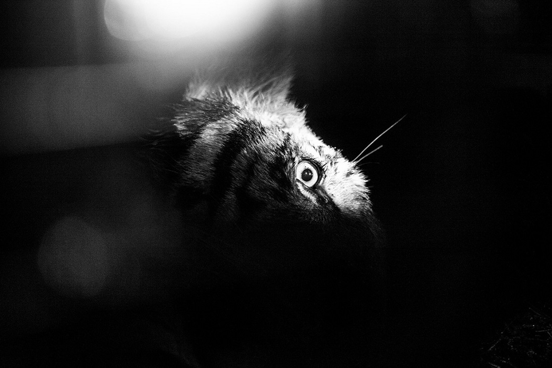 Contemporaneamente al Festival si svolgerà FFE – OFF, un circuito di mostre fotografiche, esposte in negozi, bar, ristoranti, gallerie, circoli culturali e aree pubbliche della città.