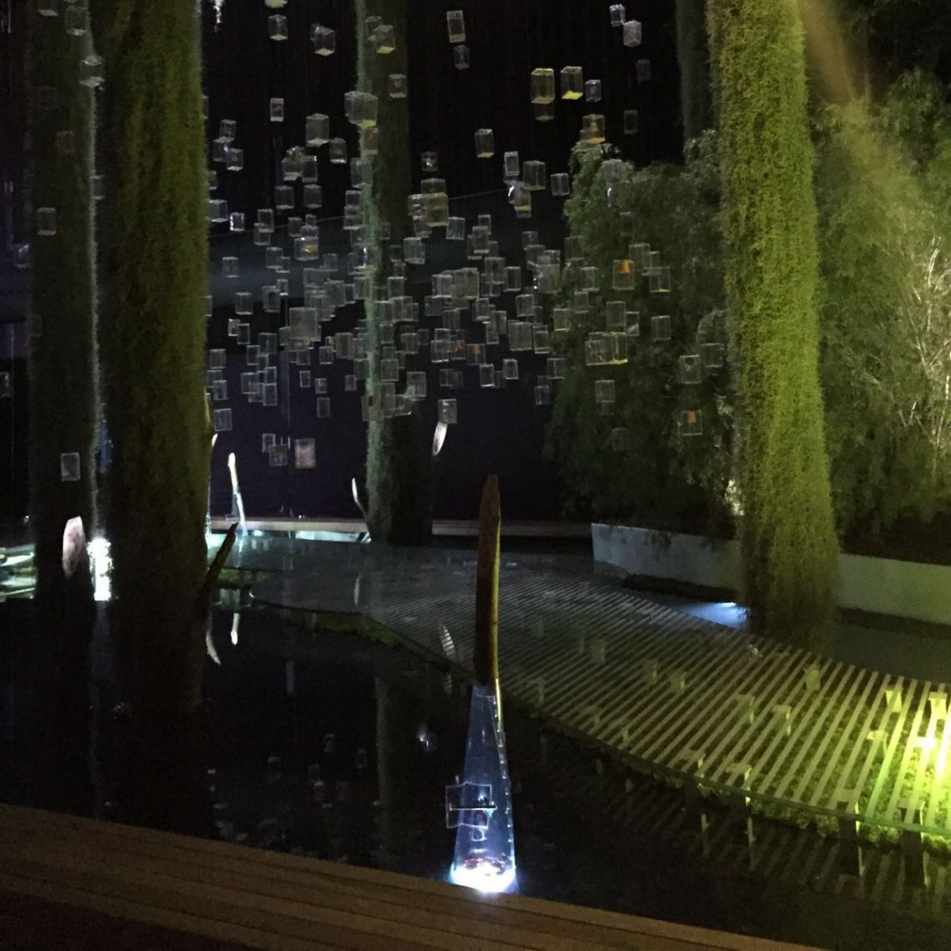 Il giardino di Stefano Passerotti