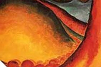 I punti auricolari e il suo colore