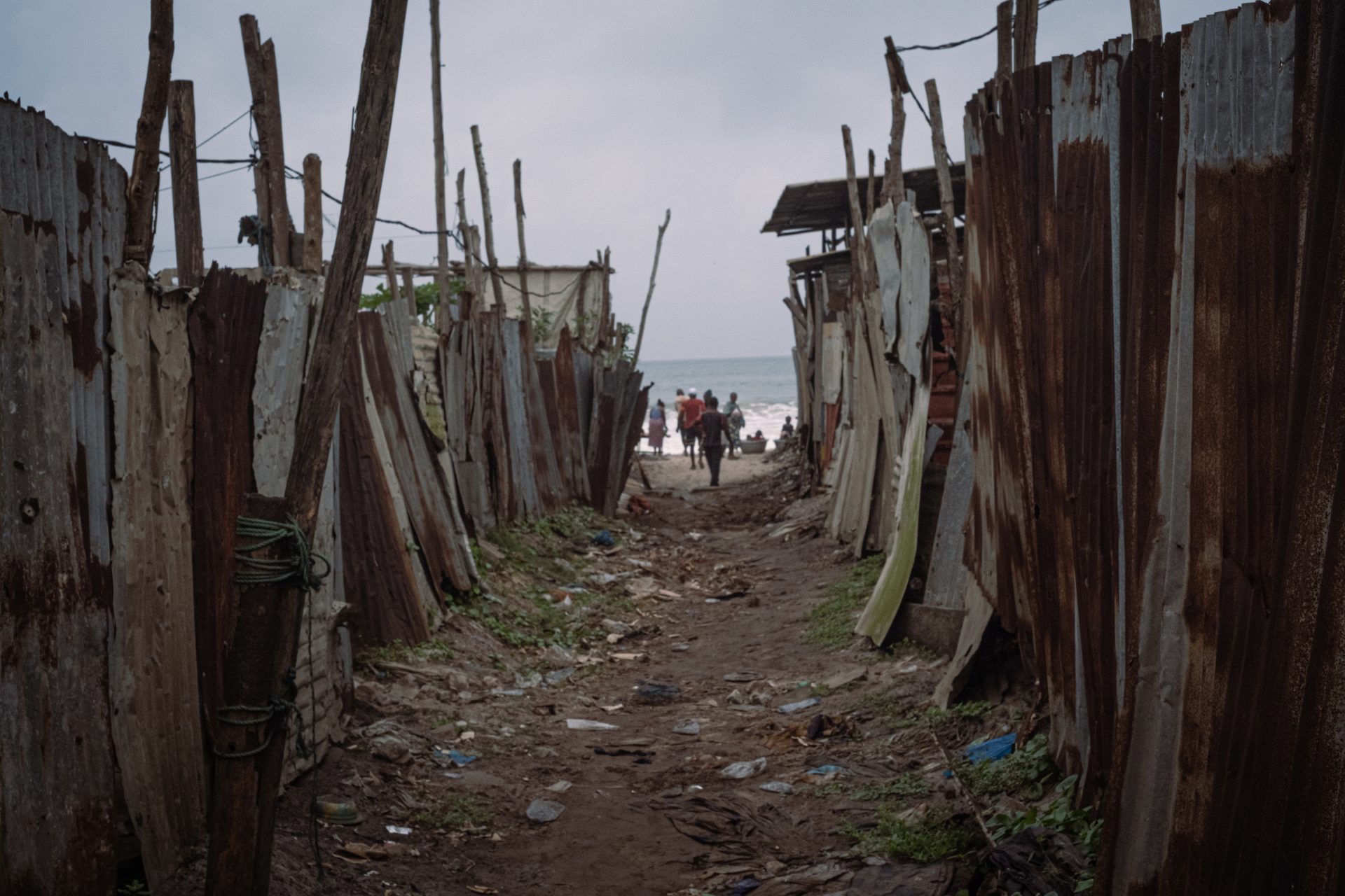 Foto squali Congo-quindici
