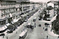 C’erano alberi in corso Buenos Aires. Immagini di una Milano sparita