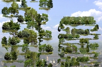 Il Bosco Verticale di Milano: tutto sul grattacielo più bello del mondo di Stefano Boeri