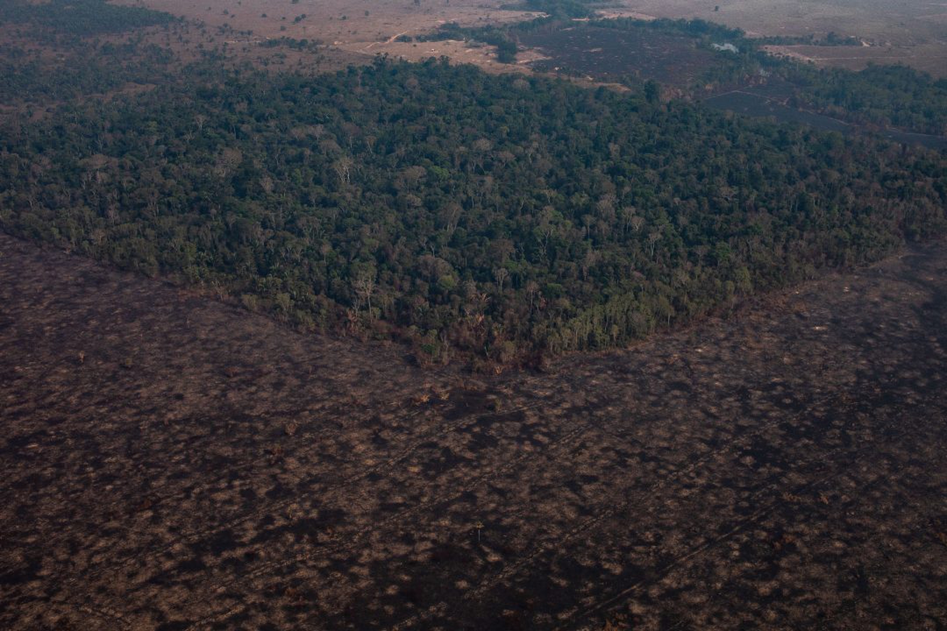 Record Number Of Fires Torch Brazil's Amazon Forest