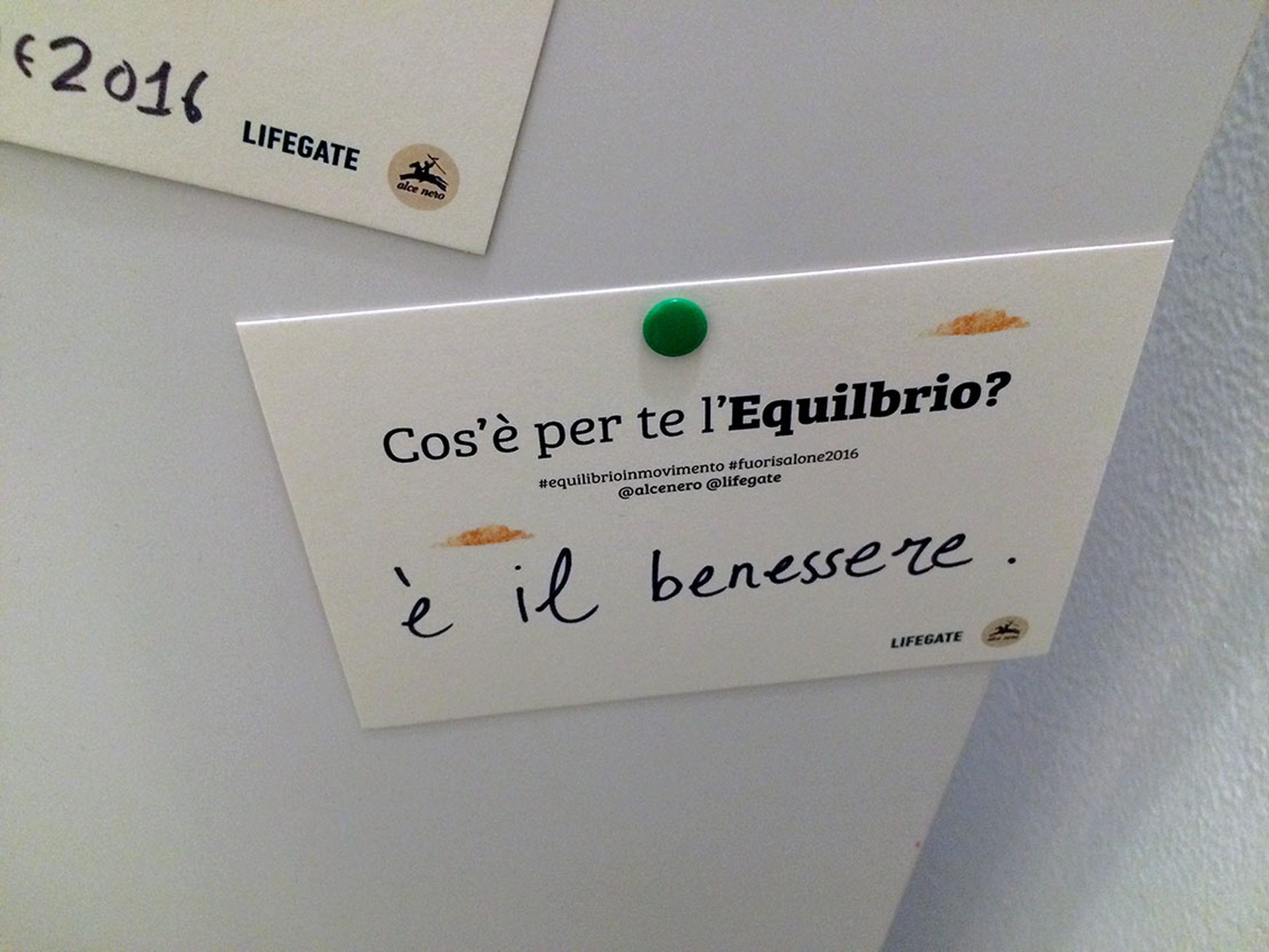equilibrio-benessere-alce-nero