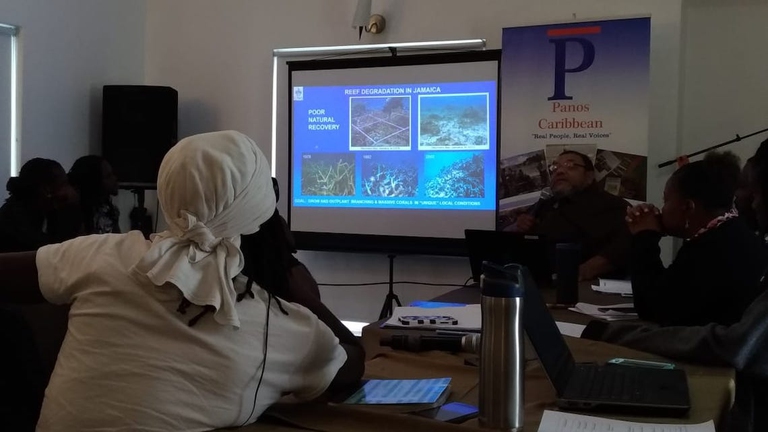 Artisti seguono un workshop sui cambiamenti climatici del progetto  Voices for climate change education.